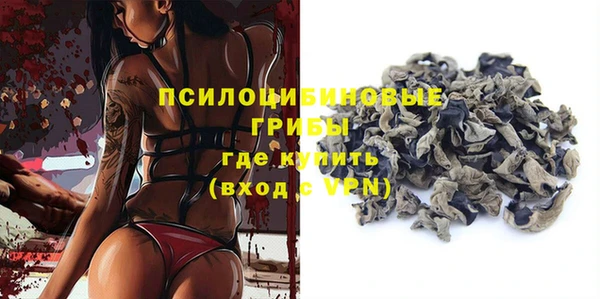 герыч Алексин